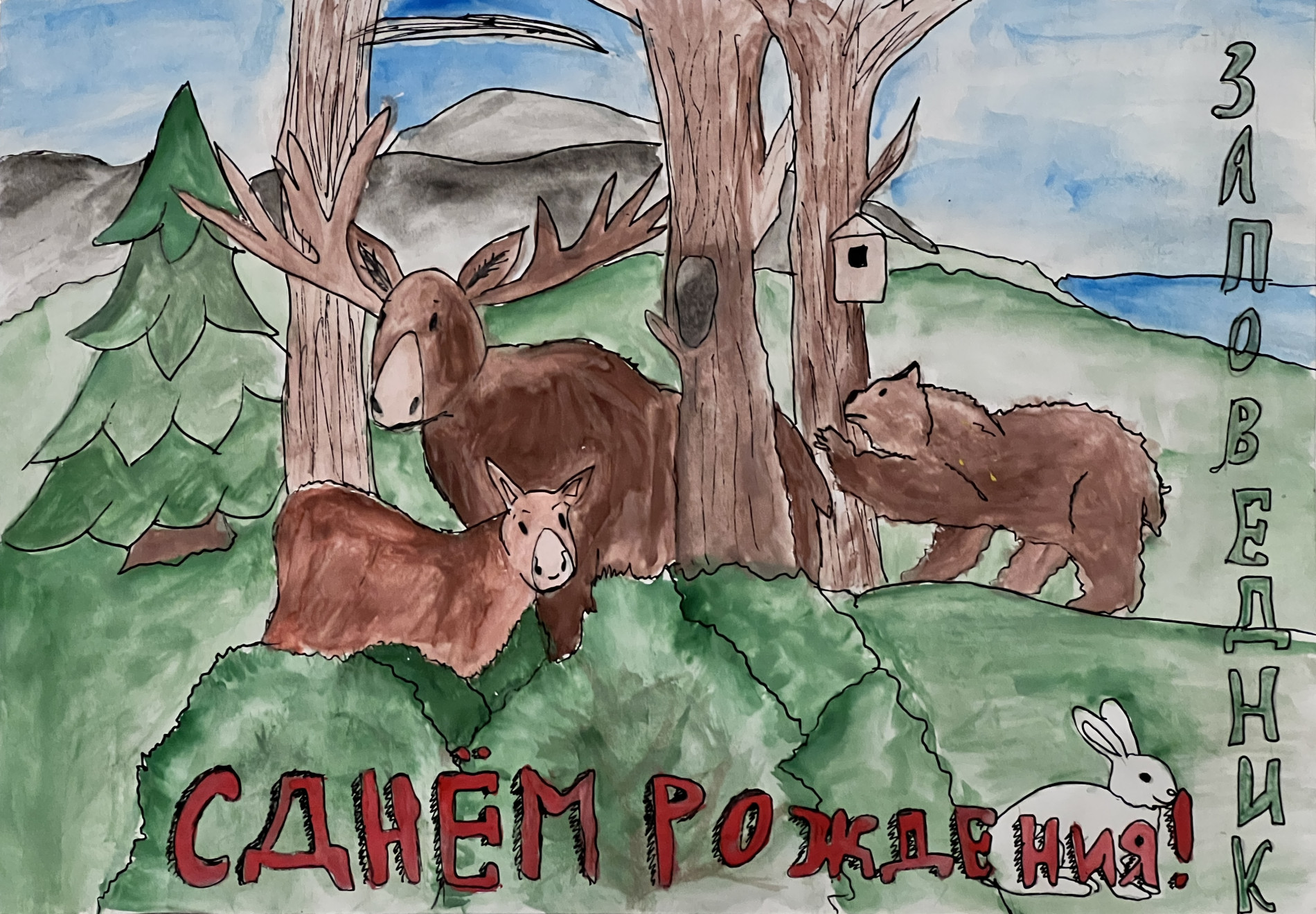 Жителей заповедных лесов изобразила на открытке Митракова Ксения из Красновишерской школы №4 